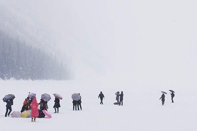 Day Hike in Lake Louise - The Sum Up: Why This Tour Stands Out