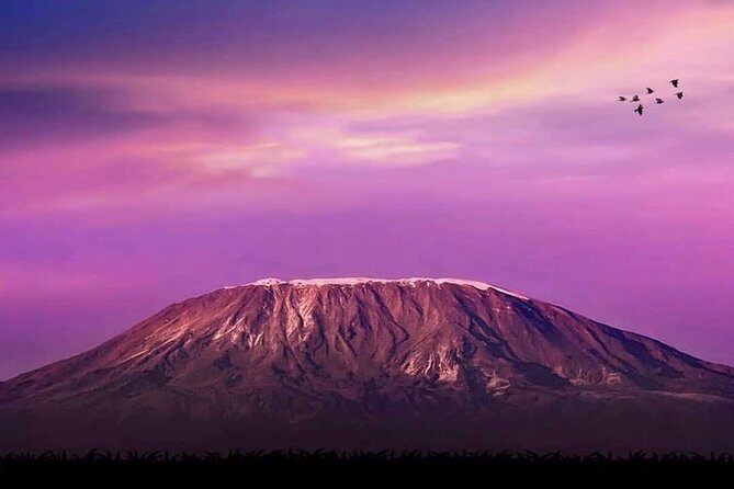 Day Hike to Mount Kilimanjaro (Mandara Hut) - The Itinerary in Detail