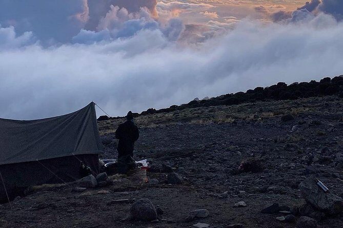 Day Hike to Mount Kilimanjaro (Mandara Hut) - Price and Value