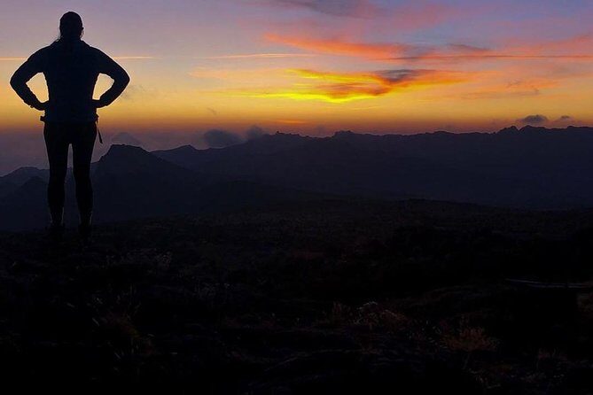 Day Hike to Mount Kilimanjaro (Mandara Hut) - Who Is It Best For?