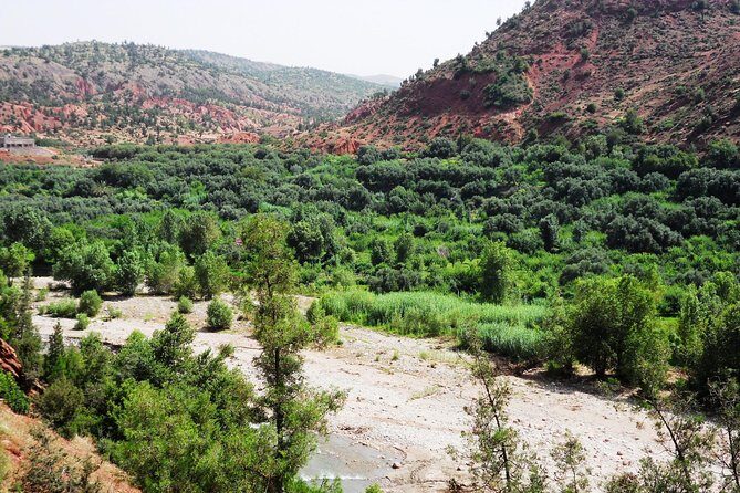 Day in the Atlas Mountains with camel ride - Authenticity and Value