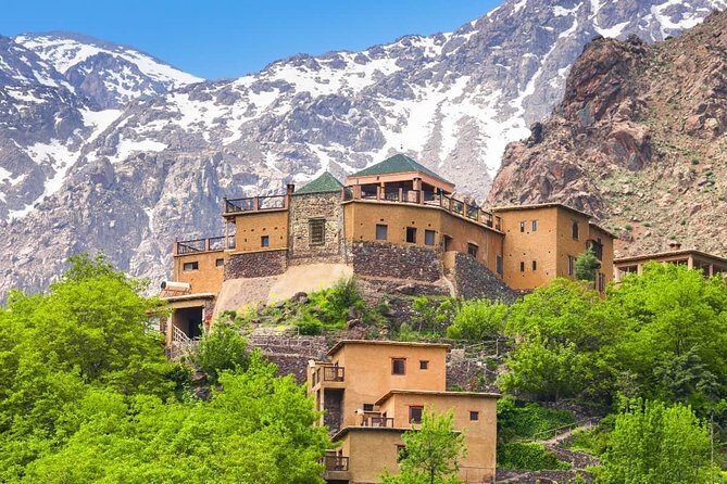 Day in the Atlas Mountains with camel ride - What Reviewers Say