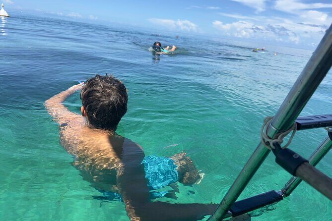 Day Lagoon 100% Sailing stops Snorkelling Paddle - Analyzing the Value