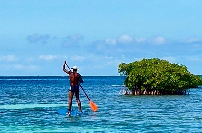 Day Lagoon 100% Sailing stops Snorkelling Paddle - Frequently Asked Questions (FAQs)