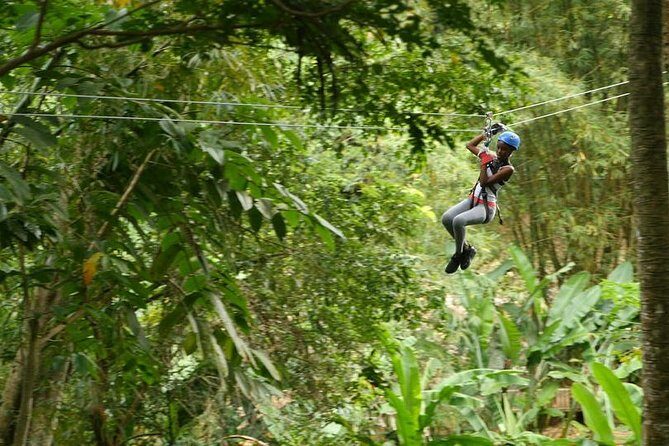Day of Adventure - Zipline and Hike or Bike - An In-Depth Look at the Adventure Tour in St. Lucia