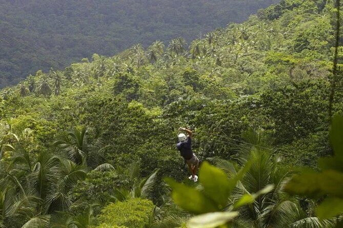 Day of Adventure - Zipline and Hike or Bike - Who Will Love This Experience?