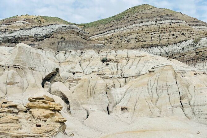 Day of Dinosaurs and Hoodoos From Calgary to the Badlands - Practical Details and Value