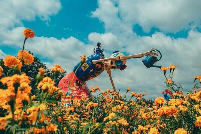 Day of the Dead Tour in Atlixco from Mexico City - Key Points