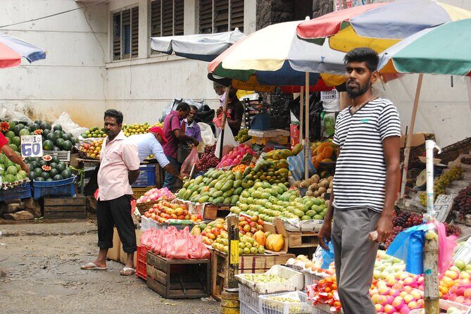 Day out to Galle[Stilt Fishing. Turtle watching.Cinnamon Farm] - Key Points
