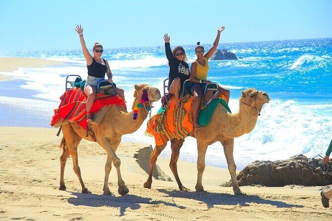 Day Pass Adventure in Los Cabos with Roundtrip Transport - Authentic Traveler Feedback