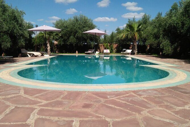 Day pool lunch and camel around Marrakech - Introduction