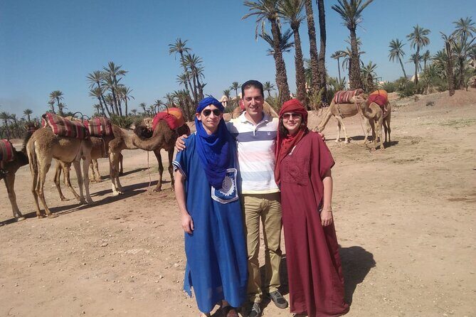 Day pool lunch and camel around Marrakech - Key Points