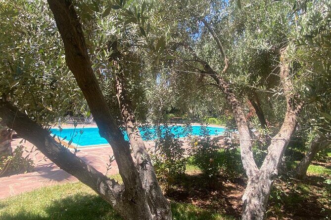 Day pool lunch and camel around Marrakech - The Experience in Practice