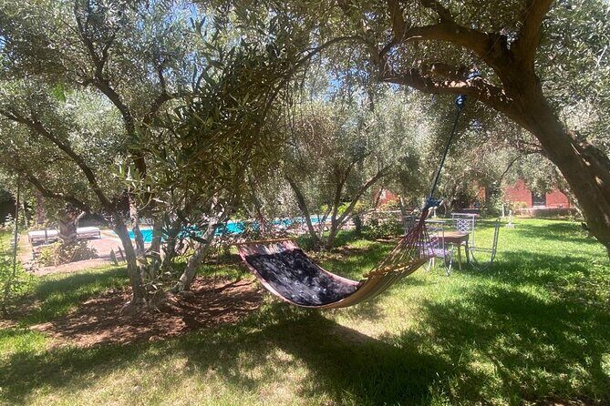 Day pool lunch and camel around Marrakech - FAQ
