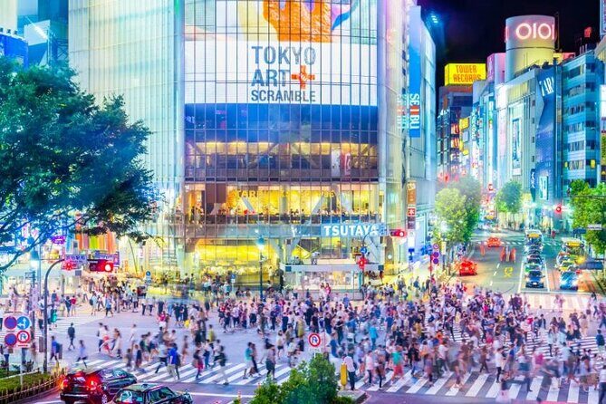 Day Private City Tour of Tokyo with English speaking driver - The Practical Side: What You Get for Your Money