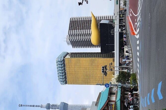 Day Private City Tour of Tokyo with English speaking driver - FAQ