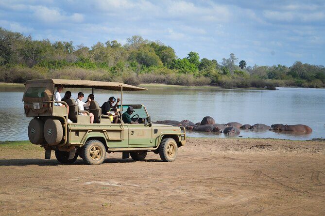 Day Safari Tour Selous Game Reserve - Why Choose the Selous Day Safari?