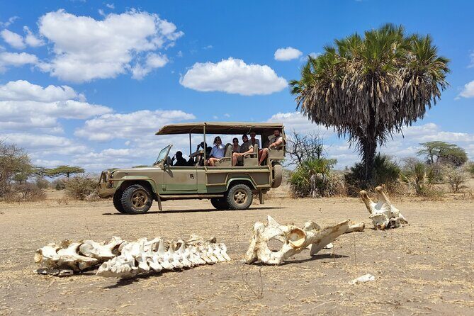 Day Safari Tour Selous Game Reserve - The Sum Up