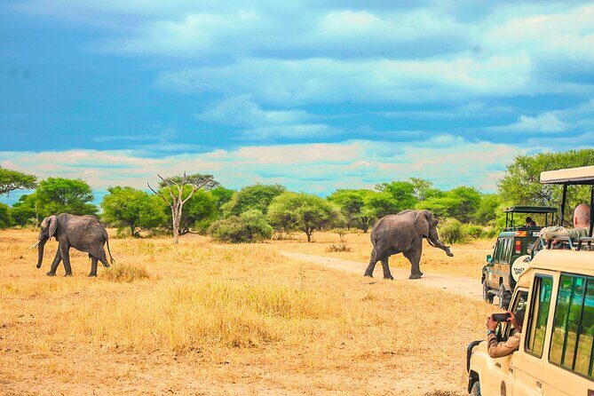 Day Safari tour to Selous Game Reserve from Zanzibar - What the Reviews Tell Us: Authentic Perspectives