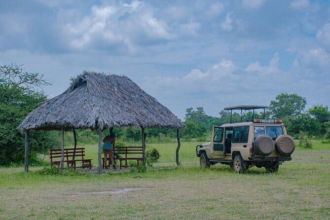 Day Safari tour to Selous Game Reserve from Zanzibar - The Sum Up: Is This Safari for You?