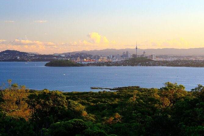 Day sea kayak tour Rangitoto Island - An In-Depth Look at the Tour Experience