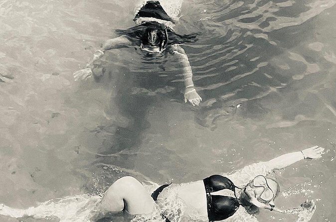 Day Snorkeling Tour in Orange Beach - Final Thoughts: Who Will Appreciate This Tour?