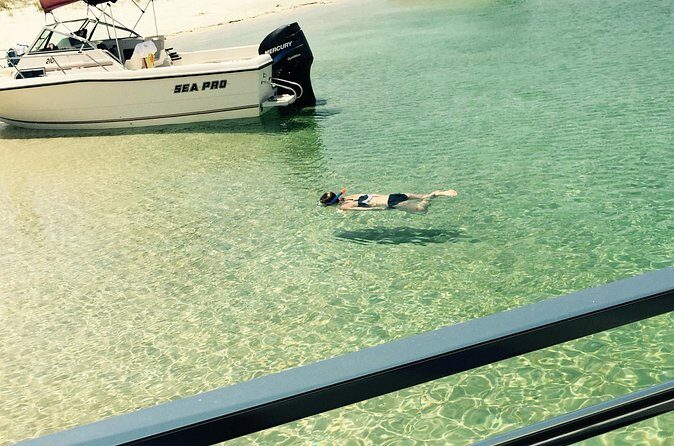 Day Snorkeling Tour in Orange Beach - Frequently Asked Questions