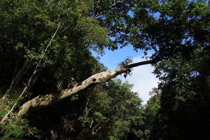 Day Tour Aborigine Village @ Rainforest Taman Negara + Batu Caves - Exploring the Itinerary in Detail
