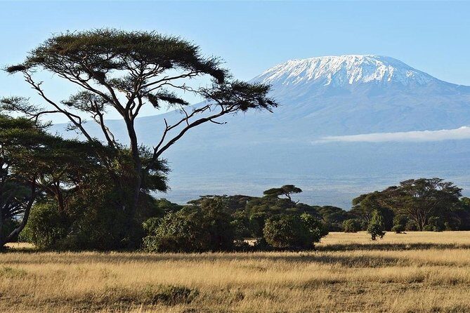 Day Tour - Amboseli National Park From Nairobi - FAQ