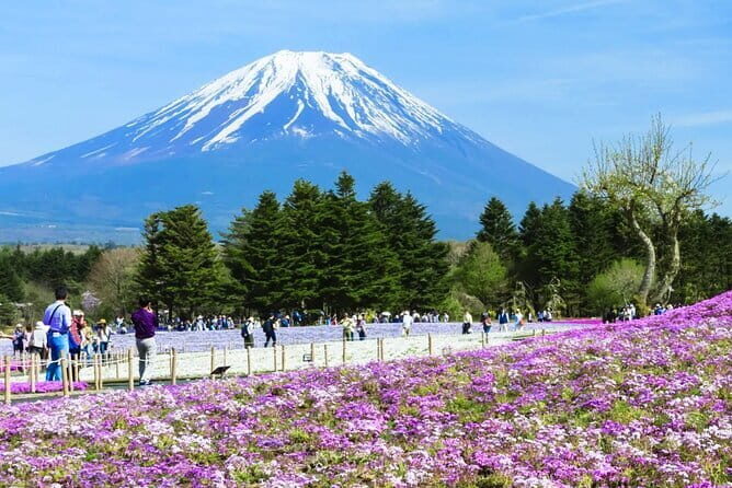 Day Tour at Mt. Fuji, Kawaguchi Lake and Oshino Hakkai in Tokyo - The Itinerary: What You Can Expect