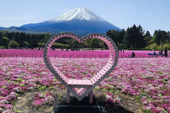 Day Tour at Mt. Fuji, Kawaguchi Lake and Oshino Hakkai in Tokyo - The Sum Up