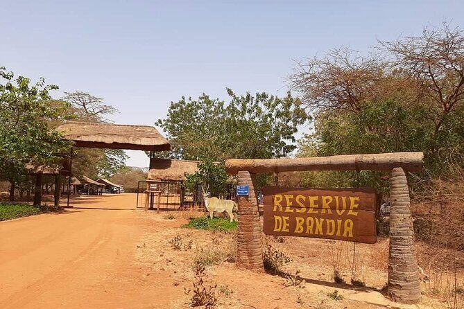 Day Tour Bandia Wildlife Reserve and pink lake - Who Should Consider This Tour?