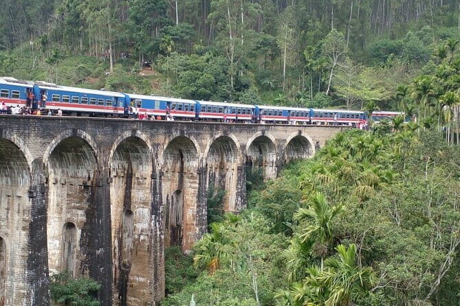 Day Tour Ella with Train Ride, Little Adams Peak and Nine Arches - An In-Depth Look at the Tour Experience
