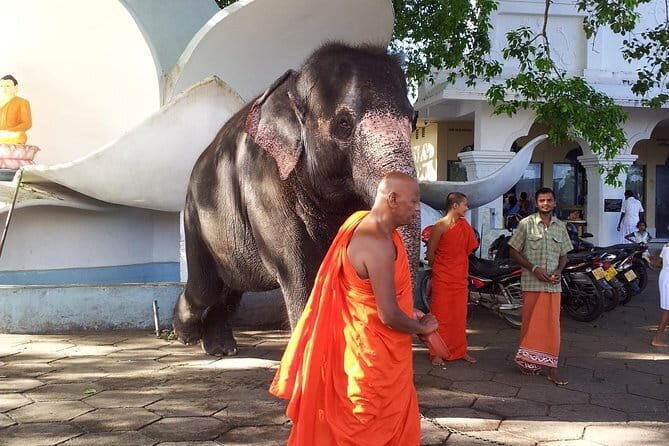 Day Tour Ella with Train Ride, Little Adams Peak and Nine Arches - FAQ