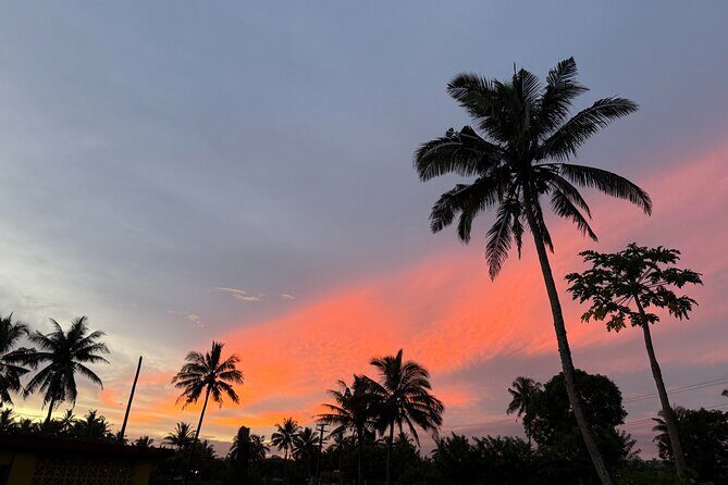 Day Tour Exploration of Fiji Culture and Nature - An In-Depth Look at the Itinerary
