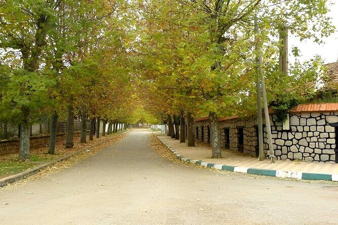 Day Tour From Fes to Middle Atlas (Imouzzer, Ifrane, and Azrou) - The Detailed Journey through the Middle Atlas