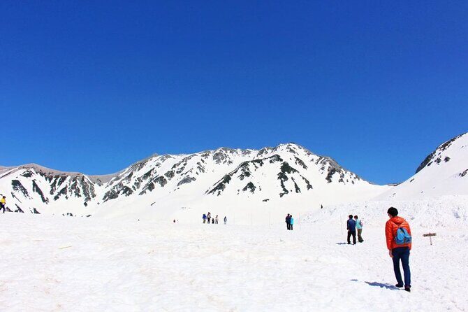 Day Tour from Kanazawa OR Toyama: Snow Wall and Mysterious Valley - A Deep Dive into the Experience