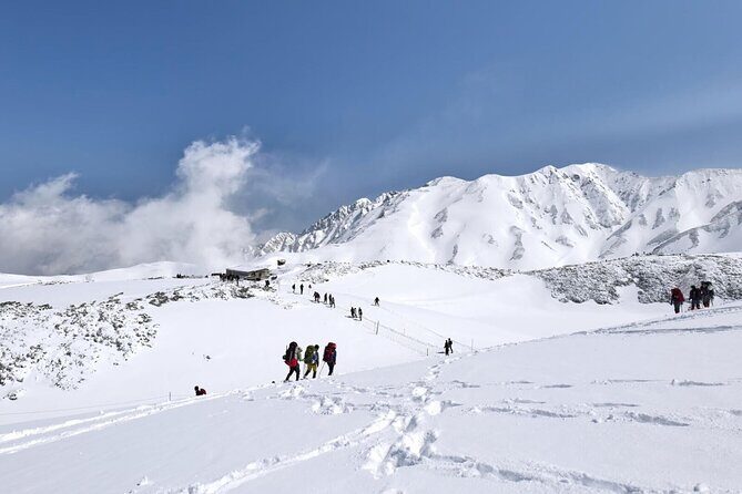Day Tour from Kanazawa OR Toyama: Snow Wall and Mysterious Valley - The Sum Up