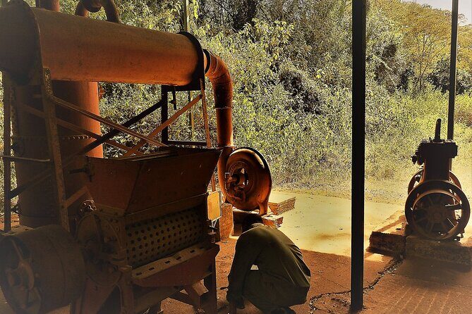Day Tour Giraffe Center, Karen blixen and Lunch at Carnivore - In The Sum Up
