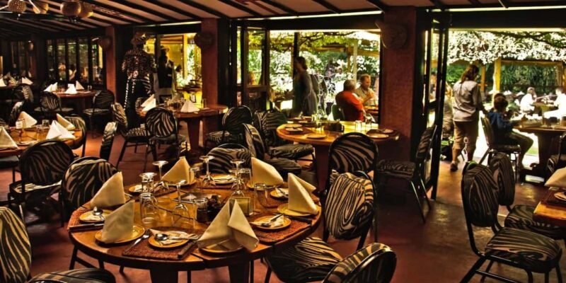 Day Tour: Giraffe Center,Elephant Orphanage& Carnivore Lunch - Key Points