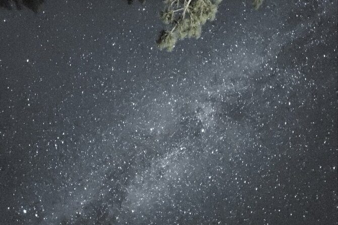 Day Tour Grand Canyon, Antelope Canyon, Horseshoe Bend - Lunch and Rest Stops