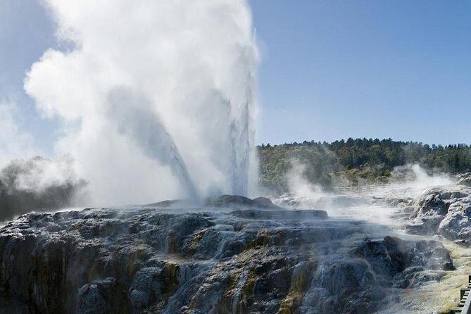 Day Tour Hobbiton + Rotorua from Auckland in Luxury Minibus - The Itinerary in Detail