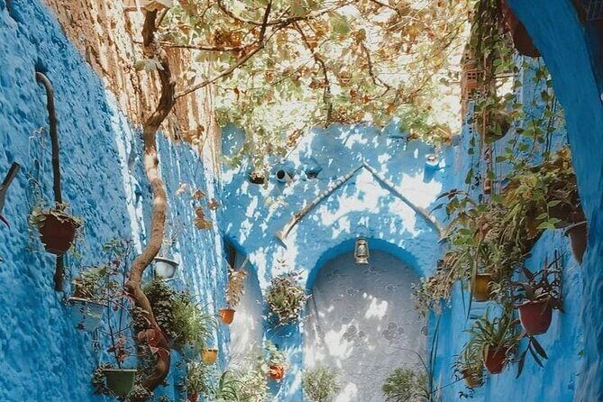 Day Tour in Blue City of Chefchaouen - Authenticity and Cultural Highlights