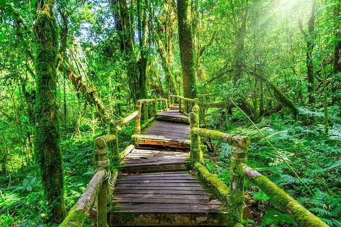 Day Tour in Doi Inthanon National Park & 2 Hour-Hiking with Lunch - A Thorough Look at the Doi Inthanon Experience