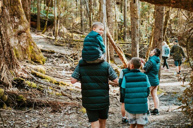 Day Tour in Mt. Field, Mt. Wellington, Bonorong Wildlife Sanctuary and Richmond - In-Depth Breakdown of the Tour Experience