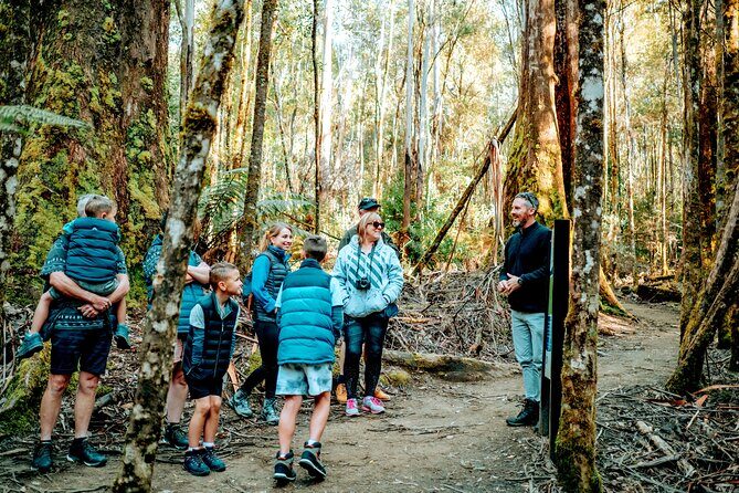 Day Tour in Mt. Field, Mt. Wellington, Bonorong Wildlife Sanctuary and Richmond - Who Should Consider This Tour?