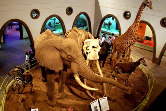 Day Tour Nairobi Museum, Giraffe Centre & Nairobi National Park - Frequently Asked Questions