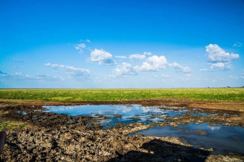 Day Tour of Tsavo East National Park from Mombasa/Diani - Key Points