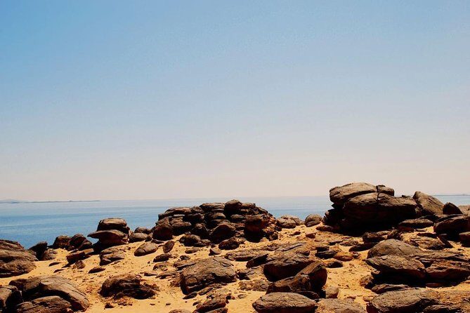 Day Tour to Abu Simbel Temples from Aswan - Why the Reviews Matter