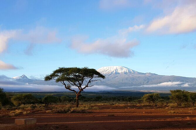 Day Tour to Amboseli National Park from Nairobi - A Closer Look at the Tour Experience